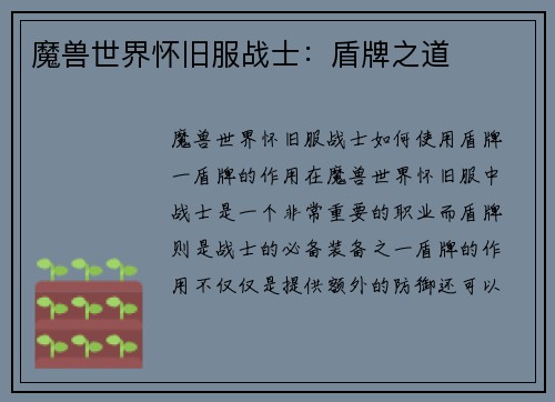 魔兽世界怀旧服战士：盾牌之道